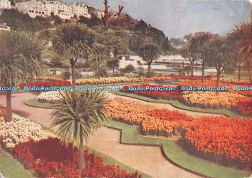 R547658 Gartenstudien Ein Hauch von Frühling in den Abbey Gardens am Torquay Ein kühner