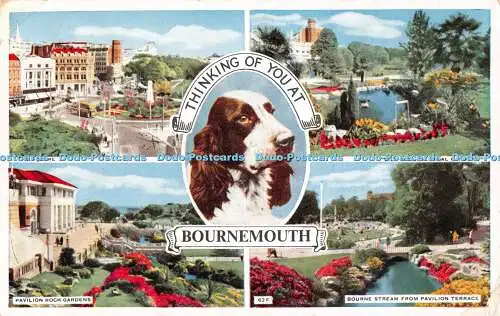 R543355 Thinking Of You at Bournemouth The Square Multi View