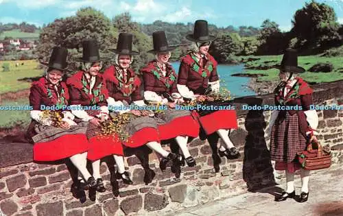 R547667 Welsh National Costume Photo Precision Limited Colourmaster Internationa