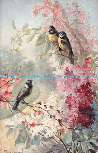 R549809 Drei Vögel sitzen auf Blumen C W Faulkner Serie 1105