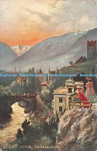 R549869 Meran Steinernersteg Meran Tirol The Wide World Tuck Oilette 7456