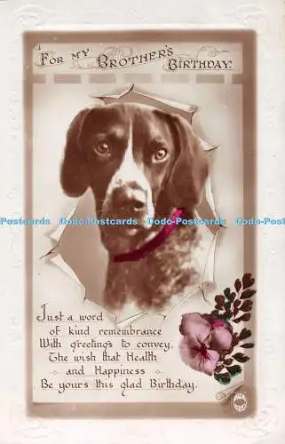 R549873 For My Brother Birthday Dog The Regent Publishing RP