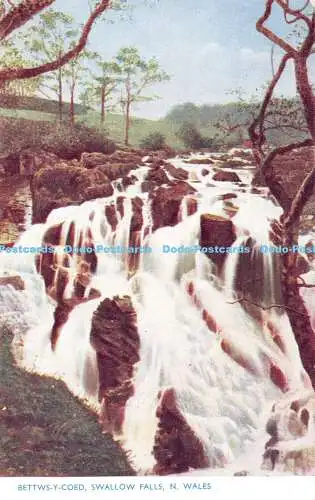 R546126 Bettws y Coed Swallow Falls N Wales Photochrom