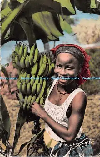 R546166 L Afrique en Couleurs La cueillette des Bananes Hoa Qui RP