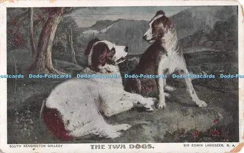 R550074 South Kensington Gallery Twa Hunde Sir Edwin Landseer R A G D und D L 191