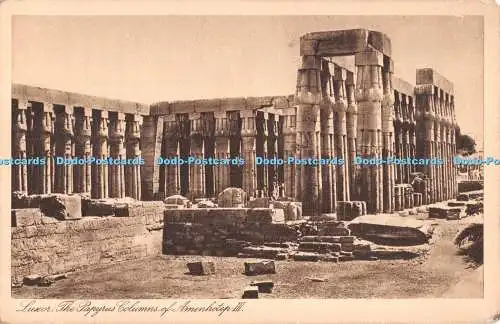 R550103 Luxor Papyrussäulen von Amenophis III Gaddis und Seif Luxor Serie 103 N