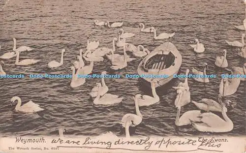 R550204 Weymouth Schraubenschlüssel Serie Nr. 6397 Schwäne 1906