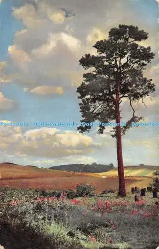 R544006 Unbekannter Ort Landschaft Wiesen Photochromie N D Nr 2240 1911