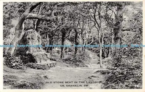 R550481 Old Stone Seat in Landslip Nr Shanklin I W 74 Nigh