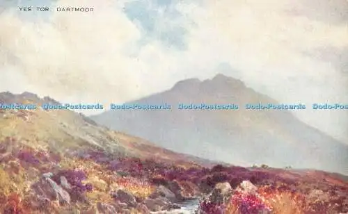 R550618 Dartmoor Yes Tor Valentine Art Farbe Brian Gerald