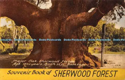 R548799 Souvenirbuch Sherwood Forest Major Oak Alter 1500 Jahre