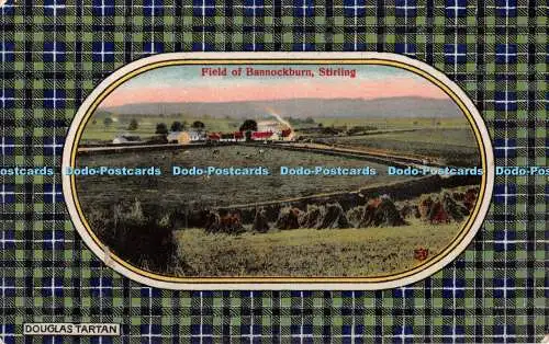 R546990 Douglasie Tartan Stirling Field of Bannockburn W R and S Reliable Series T