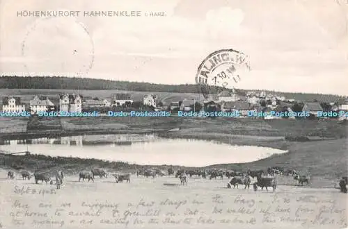 R550981 Hohenkurort Hahnenklee i Harz Louis Glaser