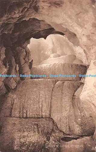 R551009 Cheddar The Fonts Gough Caves William Gough