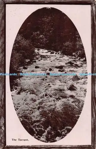 R551119 The Torrent Davidson Bros