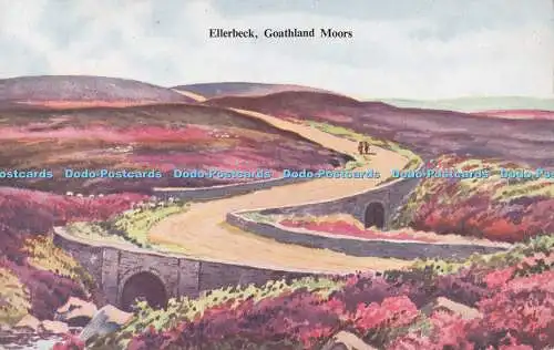 R551256 Ellerbeck Goathland Moors E T W Dennis