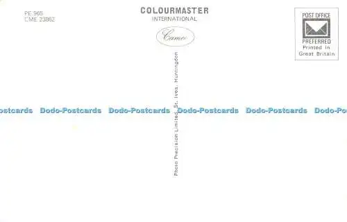 R551987 St Davids Colourmaster International Cameo Precision