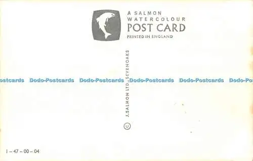 R551991 North Devon and Part of Somerset M F Peck Salmon Map