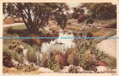 R554506 Fleetwood Lily Pond Memorial Park Fotografie