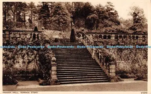 R554523 Haddon Hall Terrassenstufen photochrom