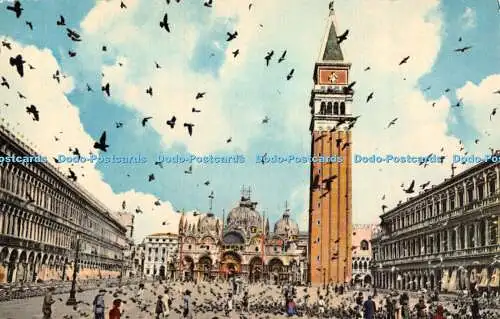 R552541 Venezia Markusplatz und Flugtauben