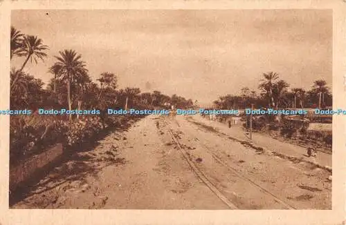 R552583 Uadi di Derna Avio Navale Dinami