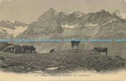 R556608 5806 Zermatt Blick auf Gabelhorn und Zinalrothorn Wehrli A G Zürich