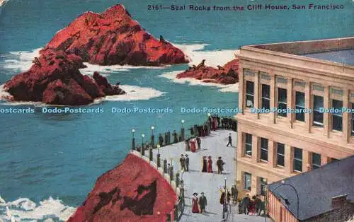 R555161 2161 Robbenfelsen aus Cliff House San Francisco Pacific Neuheit P N C