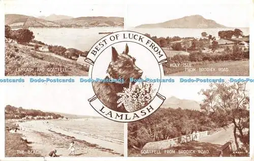 R555239 Best of Luck from Lamlash A 4991 M Kerr Valentines Multi View