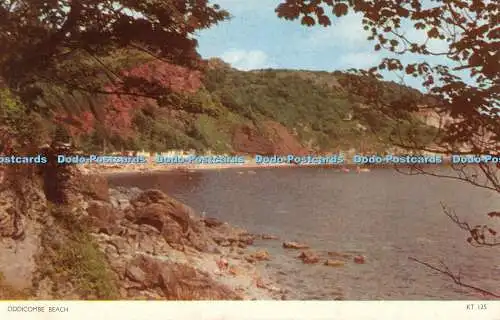 R555314 Oddicombe Beach KT 125 Cotman Color Jarrold