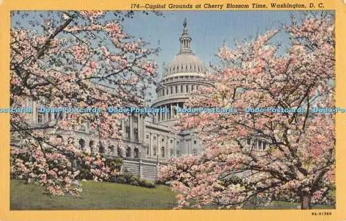 R555318 174 Capitol Grounds at Cherry Blossom Time Washington D C Scenic Art Ser