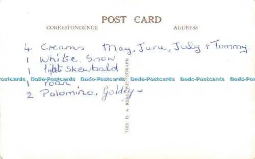 R553274 Gilbert Circus RP Postkarte