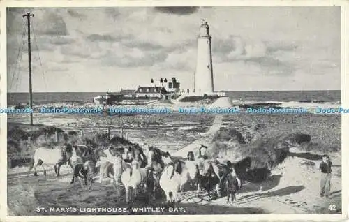 R556861 St Marys Lighthouse Whitley Bay 42