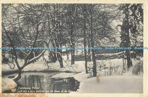 R556870 Nels Carlsbourg lhiver Il ny a plus partour que du blanc et du bleu Ern
