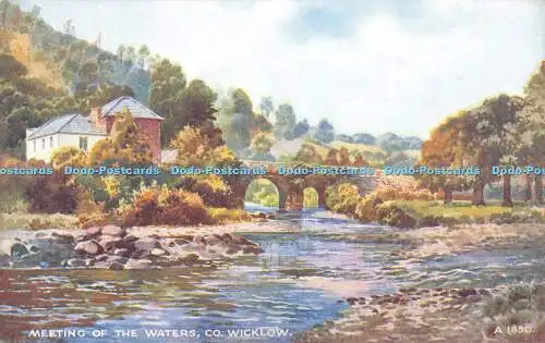 R553356 Meeting of the Waters Co Wicklow Valentine