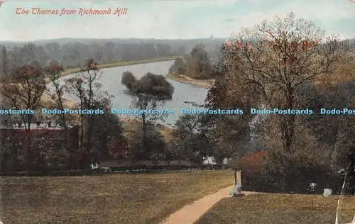 R553510 The Thames from Richmond Hill W British Made