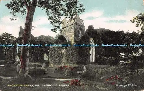 R553561 Co Kerry Killarney Muckross Abbey F Frith G D und D Star Serie 1907