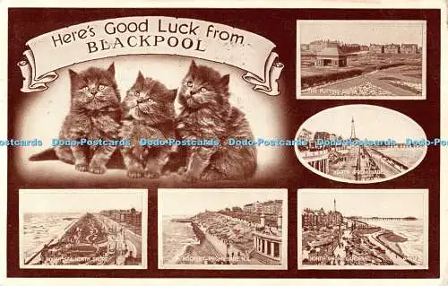 R555689 Here Good Luck from Blackpool North Promenade The Putting Green N S Vale