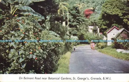 R556030 Grenada auf der Belmont Road in der Nähe des Botanischen Gartens St George Robert MacLehos