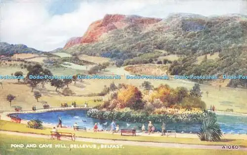 R553986 Belfast Bellevue Pond and Cave Hill Valentine Art Farbe E W Trick