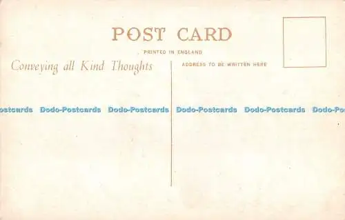 R554079 Cliffs at Orcombe Point 6B