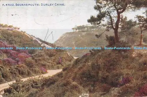 R554104 F 47012 Bournemouth Durley Chine Photochrom