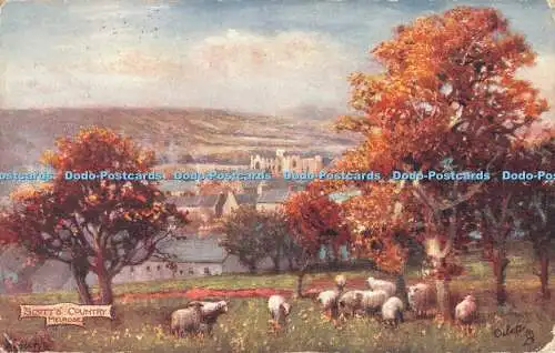 R554128 Scotts Country Melrose Abbey Tuck Oilette 7015 1907