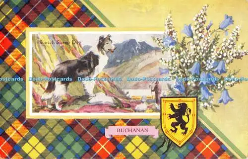 R554248 Scotch Sheep Dog Buchanan Clan Crest Serie Valentines 1962