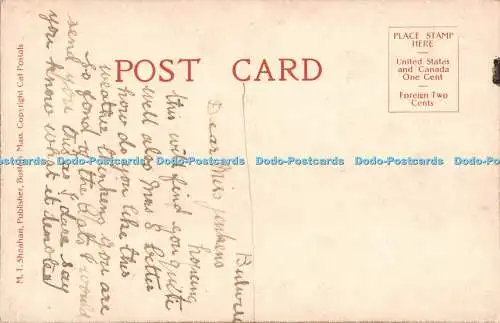 R554314 Cats M T Sheahan Boston Mass Cat Postals