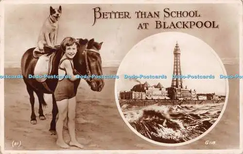 R554320 81 Pferd besser als Schule in Blackpool vom North Pier G118 Valentines