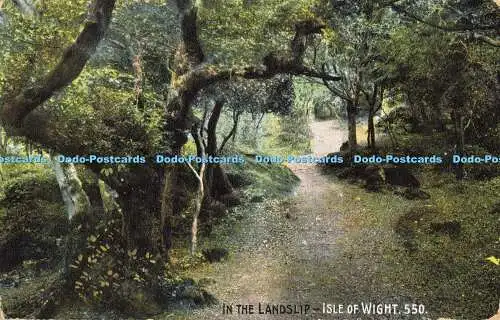 R556378 Isle of Wight In the Landslip The Ideal Post Card Series 1910