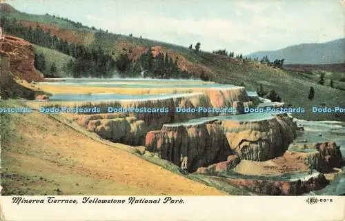 R559419 Minerva Terrace Yellowstone National Park Illustrated Postal Card and No