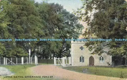 R558119 Lodge Gates Savernake Forest Marlborough Tuck Chromette 1921 1906