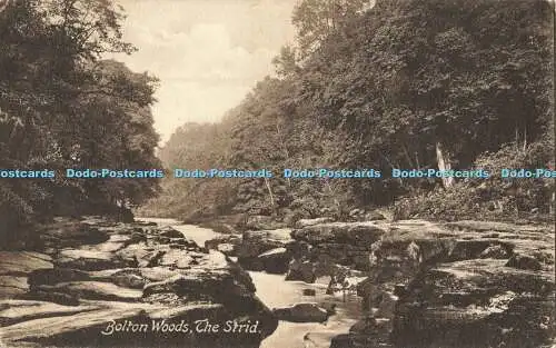 R559476 Bolton Woods The Strid F Frith No 18533